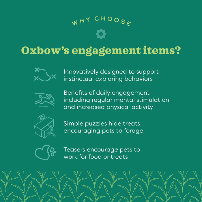 Oxbow Animal Health Play Wall Small
