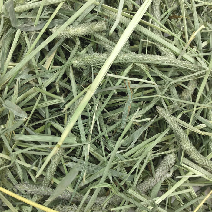 Oxbow Animal Health Western Timothy Hay 90oz