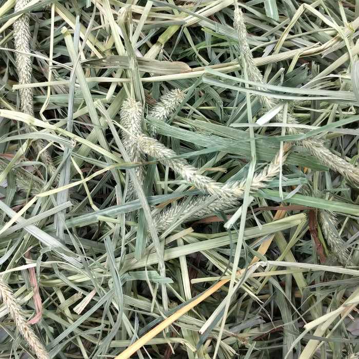 Oxbow Animal Heath Hay Blends - Western Timothy & Orchard 15oz