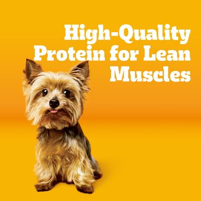 Pedigree Tender Bites for Small Dogs Adult Dry Dog Food