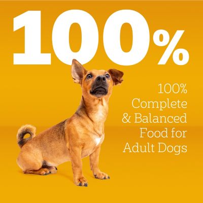 Pedigree Tender Bites for Small Dogs Adult Dry Dog Food