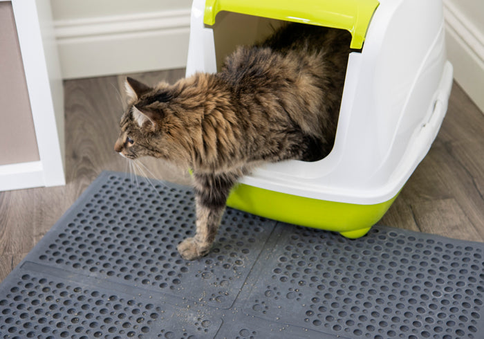 Petlinks Purr-fect Paws Multipurpose Cat Litter Mat - Large, Gray