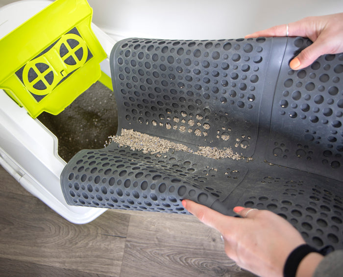 Petlinks Purr-fect Paws Multipurpose Cat Litter Mat - Large, Gray