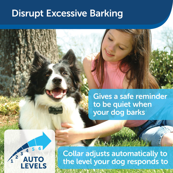 PetSafe® Basic Bark Control Collar