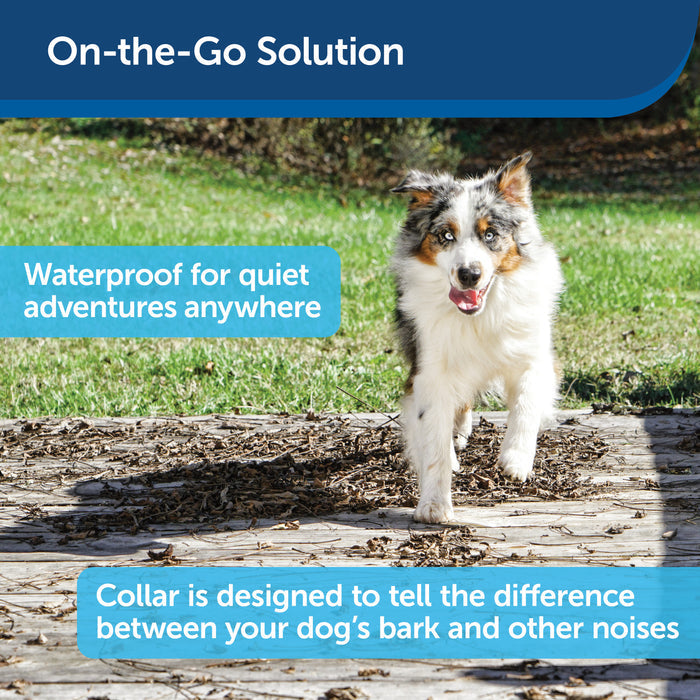PetSafe® Basic Bark Control Collar