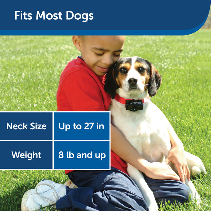 PetSafe® Basic Bark Control Collar