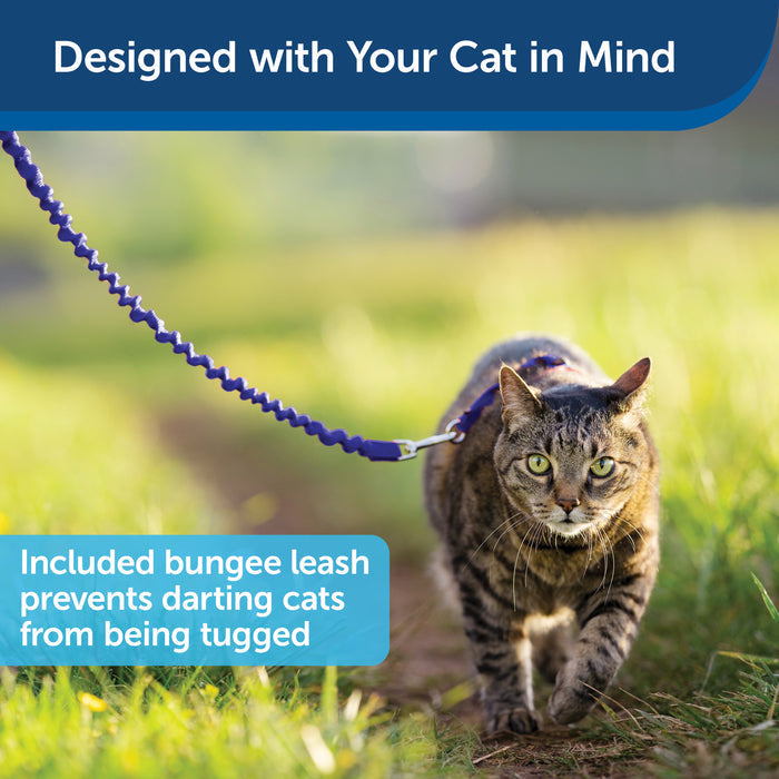PetSafe Come with Me Kitty Harness and Bungee Leash – Adjustable, Lightweight Harness for Cats, Royal Blue