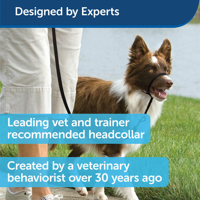 PetSafe® Gentle Leader® Headcollar, No-Pull Dog Collar