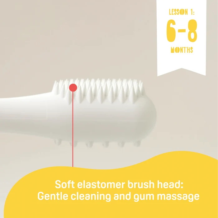 Pigeon Traning Toothbrush Lesson 123 Set