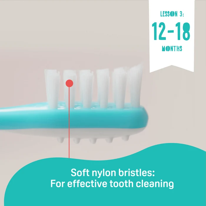 Pigeon Traning Toothbrush Lesson 123 Set