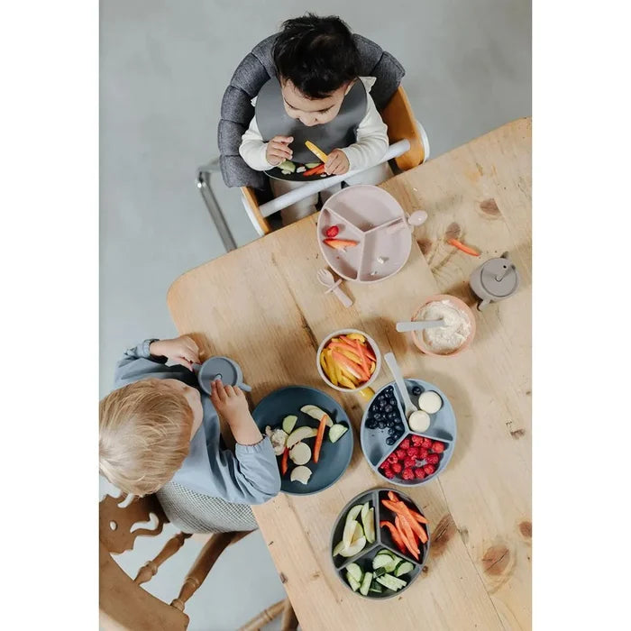 Pippeta Silicone Suction Plate