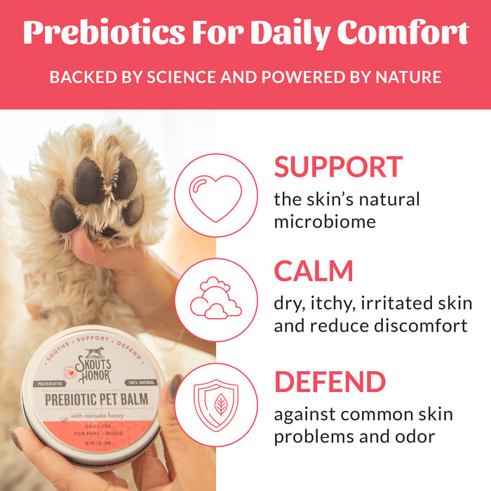 Prebiotic Pet Balm 2oz