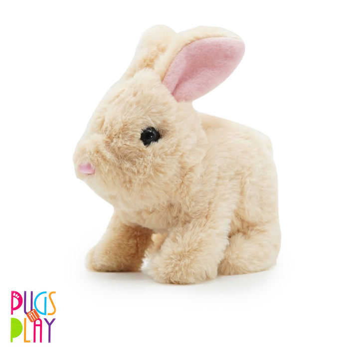Pugs At Play Cookie Jumping Rabbit