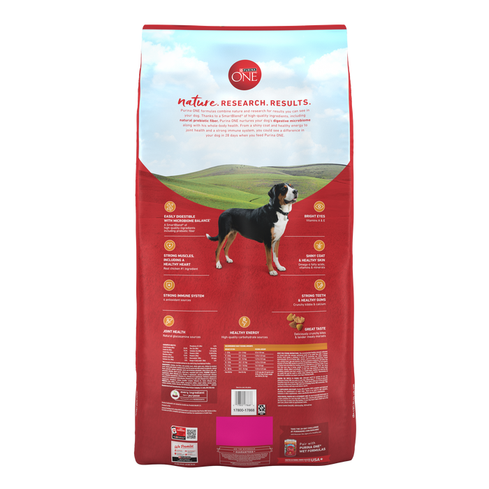 Purina ONE Chicken and Rice Formula Dry Dog Food