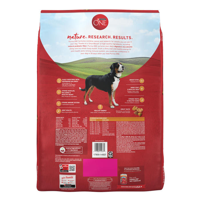 Purina ONE Chicken and Rice Formula Dry Dog Food