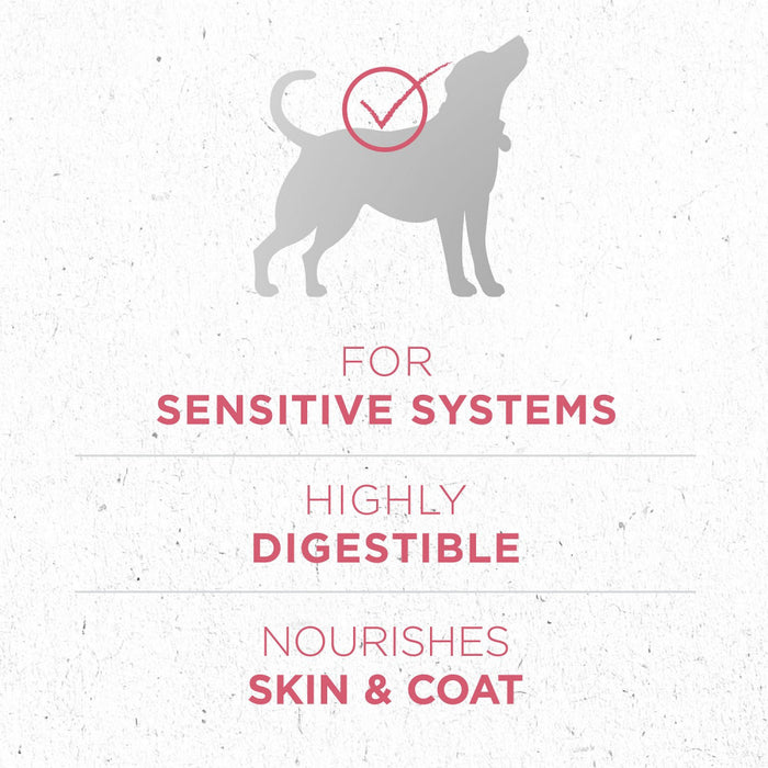 Purina ONE +Plus Skin & Coat Formula Dry Dog Food