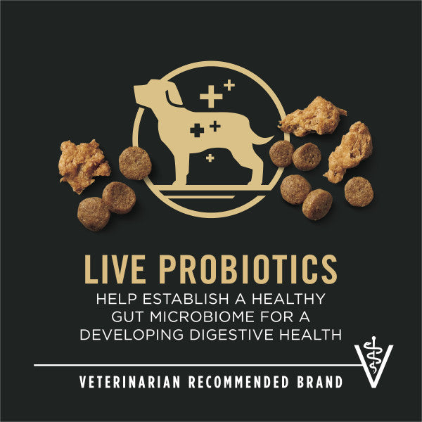 Purina Pro Plan High Protein Puppy Food Shredded Blend Chicken & Rice Formula