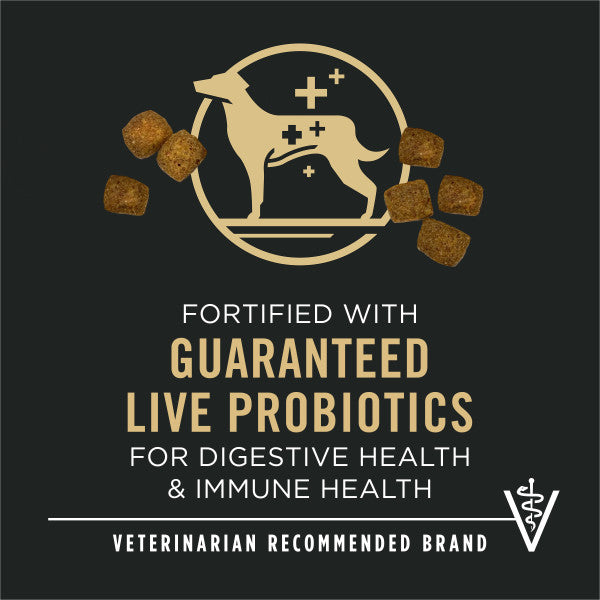 Purina Pro Plan Senior Dog Food With Probiotics for Dogs, Bright Mind 7+ Chicken & Rice Formula