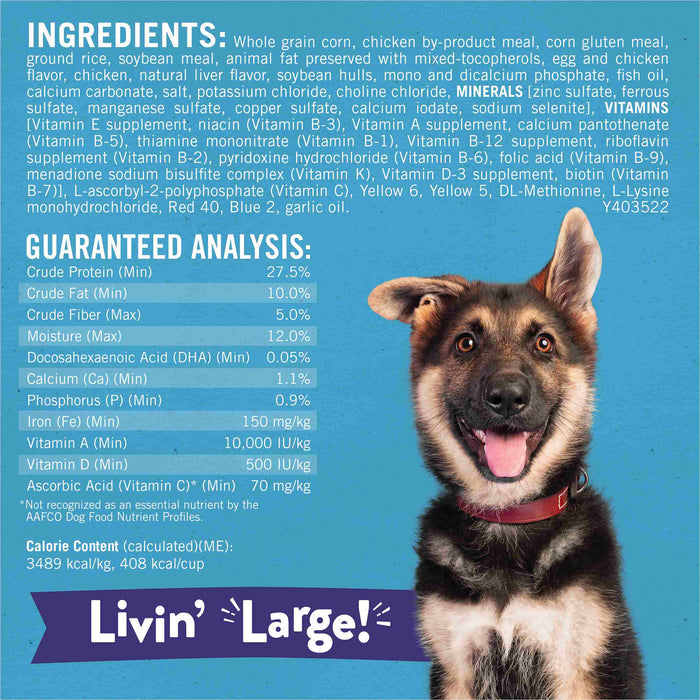 Purina Puppy Chow High Protein Large Breed Puppy Food Dry With Real Chicken