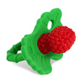 RaZbaby Silicone Teether Pacifier
