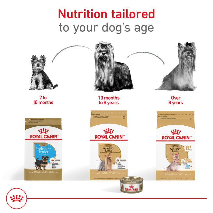Royal Canin Breed Health Nutrition® Yorkshire Terrier Adult Loaf In Sauce Dog Food, 3 oz, 6-pack