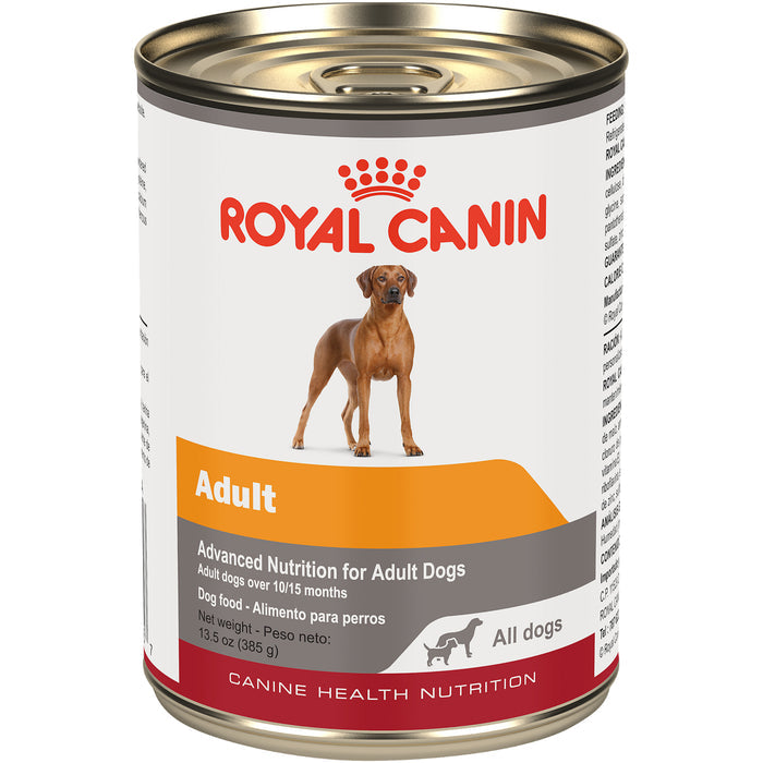 Royal Canin Canine Health Nutrition™ Adult In Gel Canned Dog Food, 13.5 oz