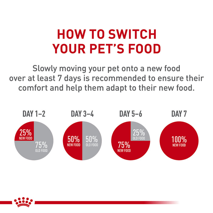Royal Canin Canine Health Nutrition™ Adult In Gel Canned Dog Food, 13.5 oz