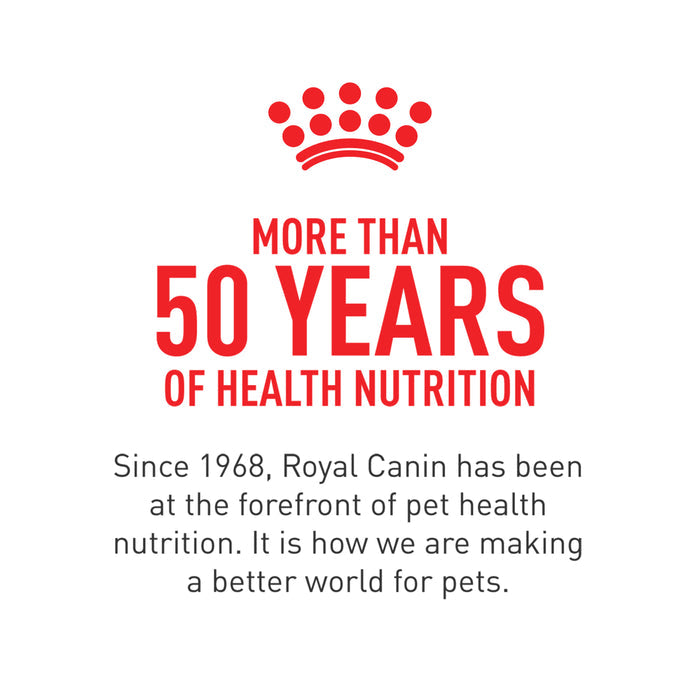 Royal Canin Canine Health Nutrition™ Adult In Gel Canned Dog Food, 13.5 oz