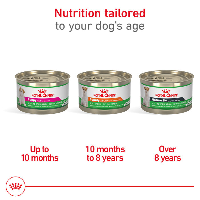 Royal Canin Canine Health Nutrition Beauty Adult Loaf in Sauce Canned Dog Food, 5.2 oz
