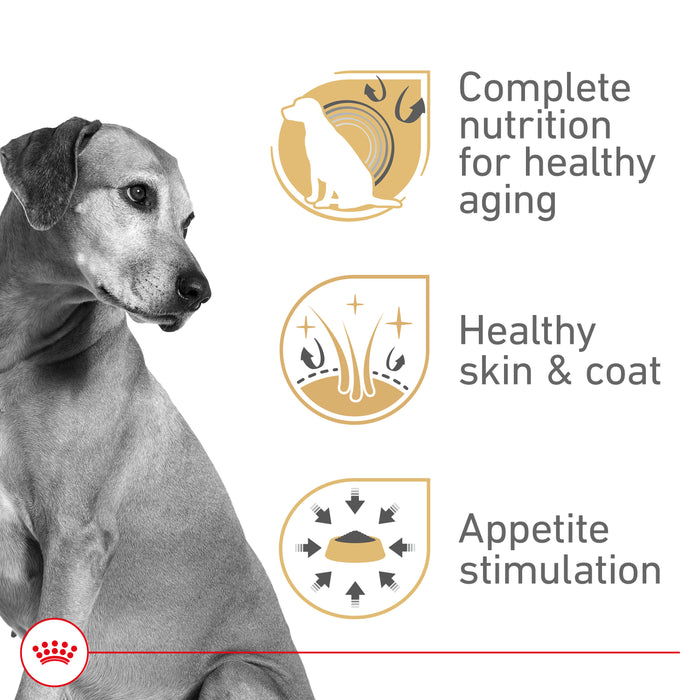 Royal Canin Canine Health Nutrition™ Mature Adult In Gel Canned Dog Food, 13.5 oz