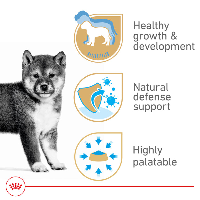 Royal Canin Canine Health Nutrition™ Puppy Canned Dog Food, 13.5 oz