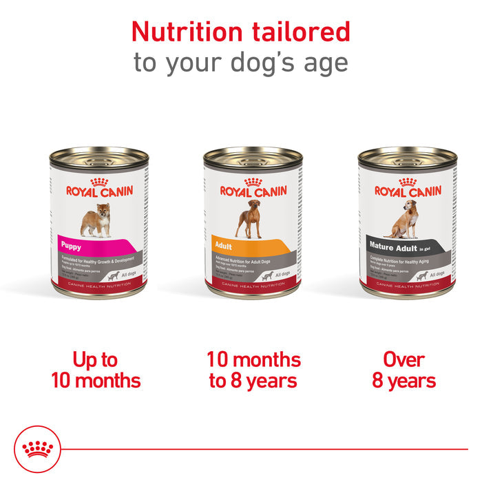 Royal Canin Canine Health Nutrition™ Puppy Canned Dog Food, 13.5 oz
