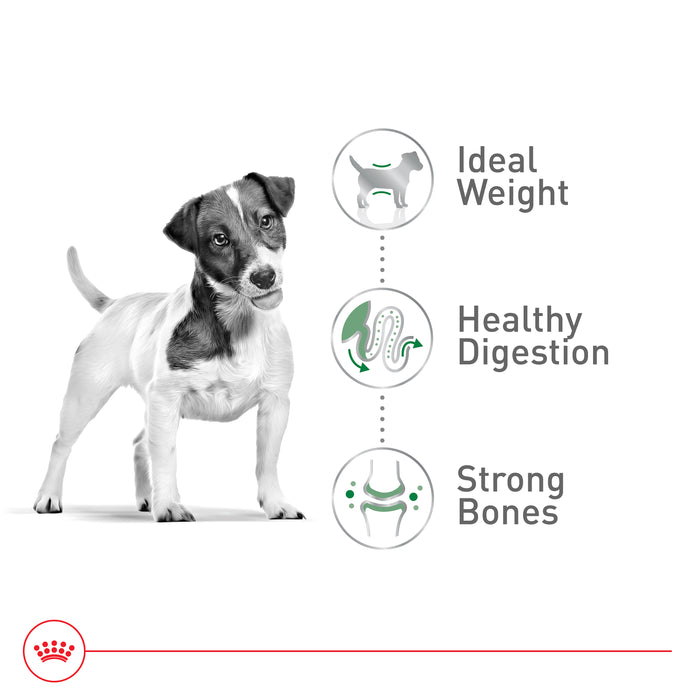 Royal Canin Size Health Nutrition Small Adult Dry Dog Food, 4 lb