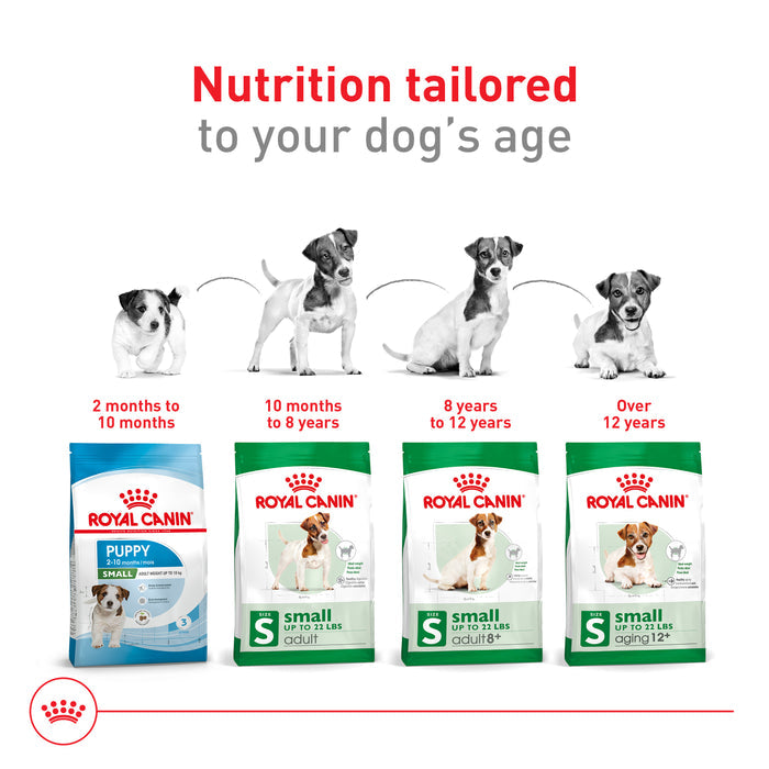 Royal Canin Size Health Nutrition Small Adult Dry Dog Food, 4 lb