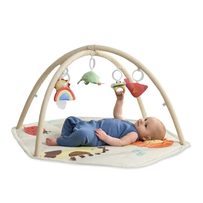 Skip Hop Geometric Wonders Play Gym