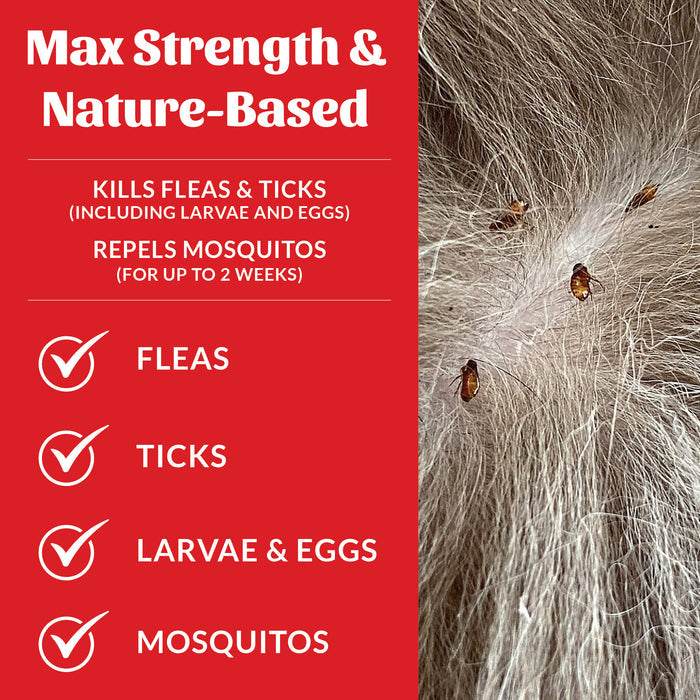 Skout's Honor Flea + Tick Dog & Home Spray