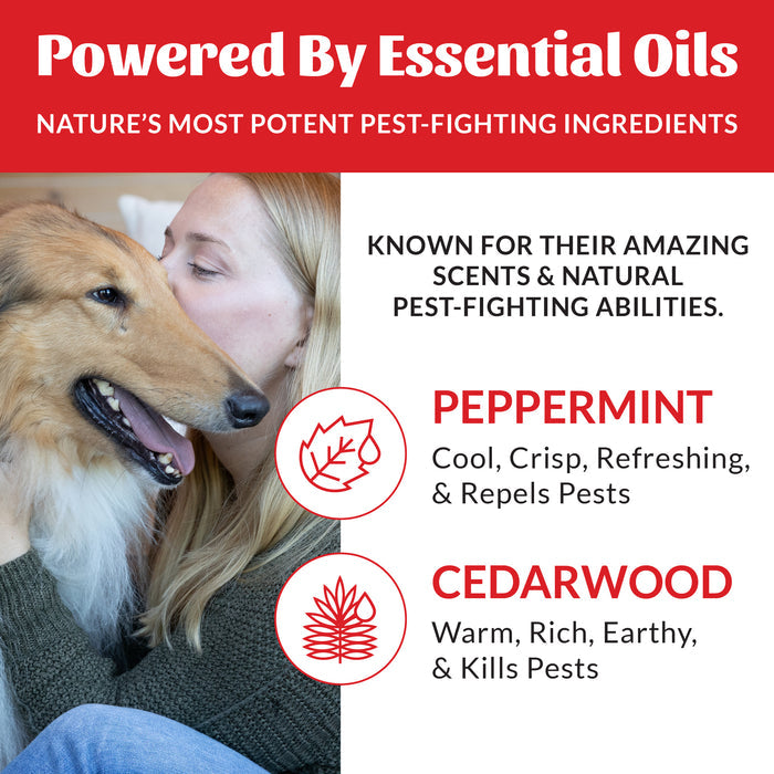 Skout's Honor Flea + Tick Dog & Home Spray