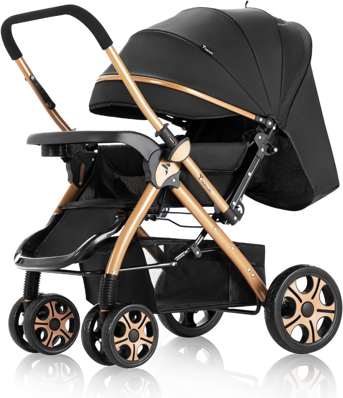 Teknum Reversible Trip 2 Stroller (Black)