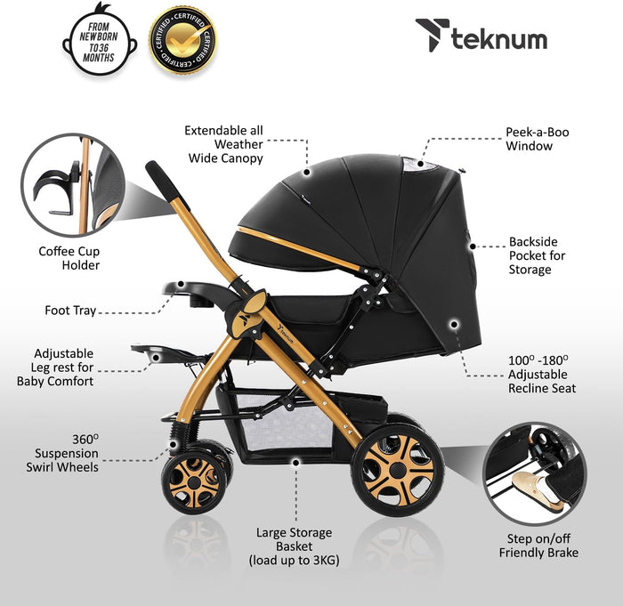 Teknum Reversible Trip 2 Stroller (Black)