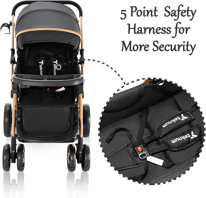Teknum Reversible Trip 2 Stroller (Black)