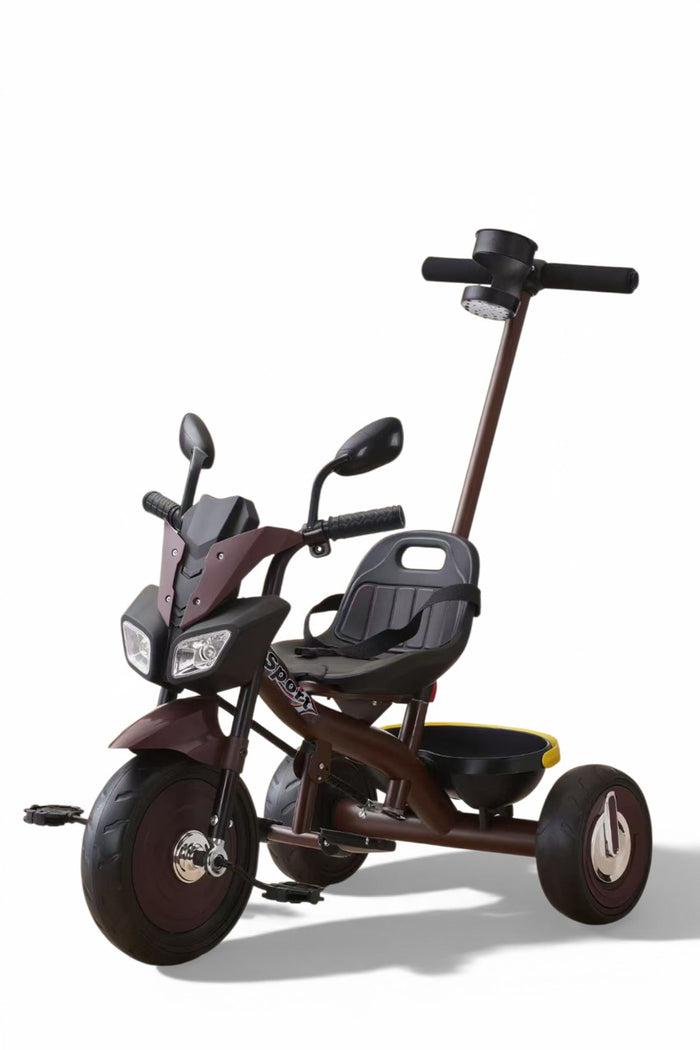Tobbi Kids Orbic Kids Tricycle With Handle For Kids (Grape Red)
