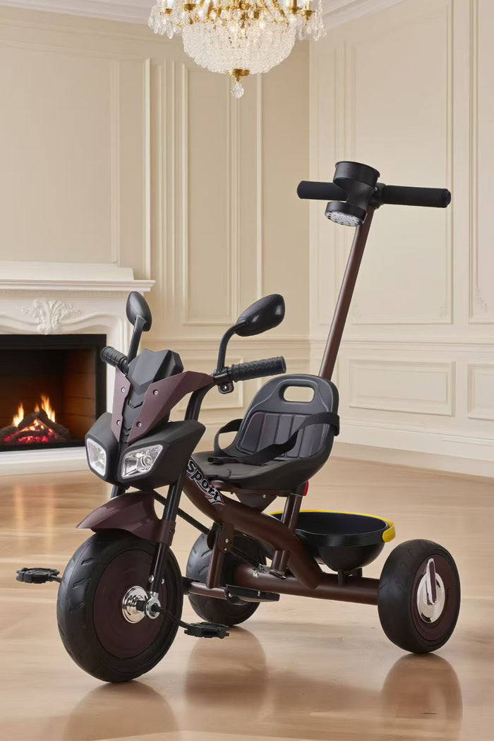 Tobbi Kids Orbic Kids Tricycle With Handle For Kids (Grape Red)