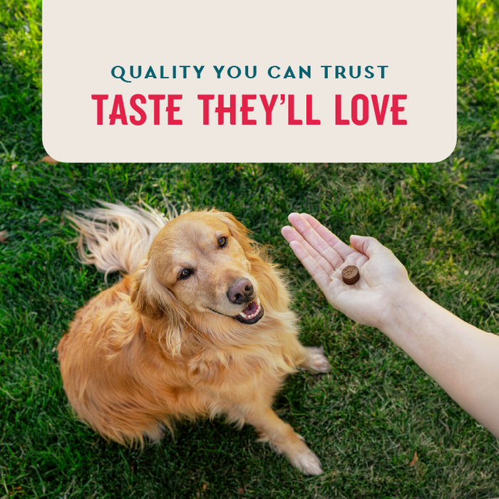VETIQ 8-in-1 Multifunctional Dog Chew 60 count