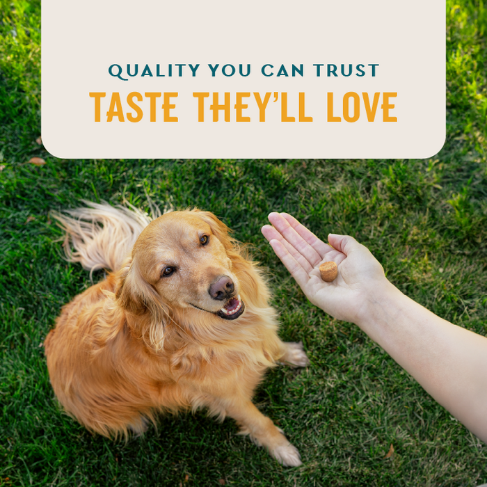 VETIQ F&T Chew Dog 60ct