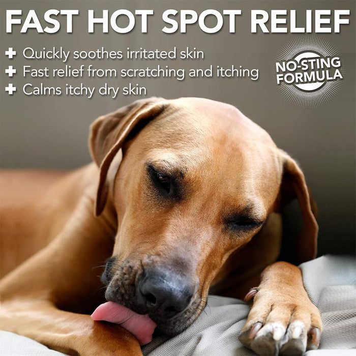 Vet's Best Allergy Itch Relief Dog Spray 8oz