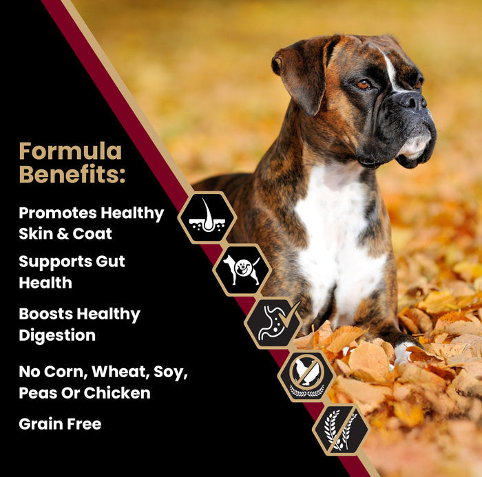 VICTOR Sensitive Skin and Stomach ‰ÛÒ Grain Free Lamb Meal and Sweet Potato Recipe 30lb