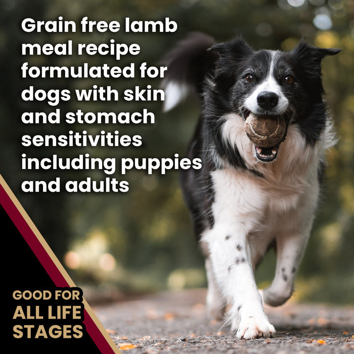VICTOR Sensitive Skin and Stomach ‰ÛÒ Grain Free Lamb Meal and Sweet Potato Recipe 30lb
