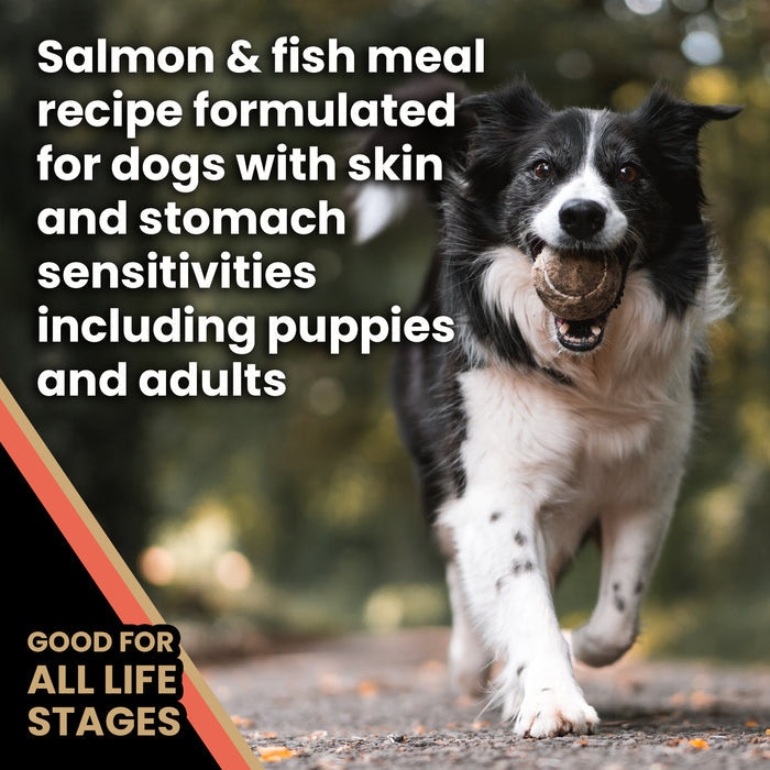 VICTOR Sensitive Skin and Stomach ‰ÛÒ Salmon Meal and Brown Rice Recipe 30lb