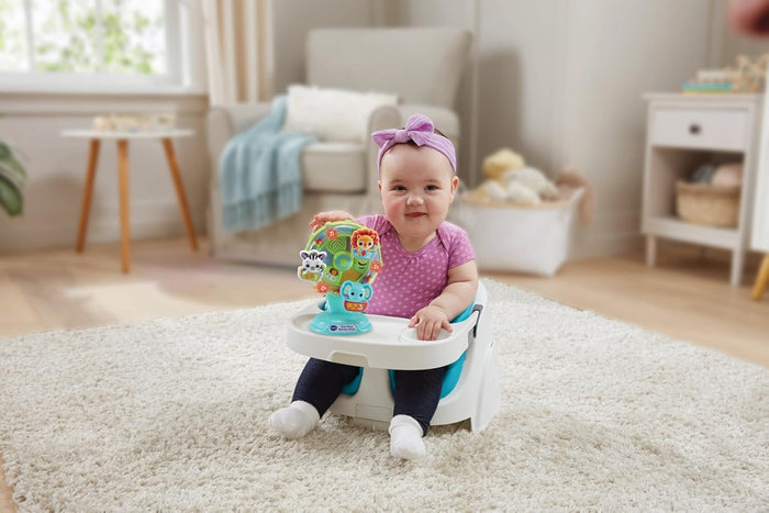 VTech Baby Sing Along Spinning Wheel