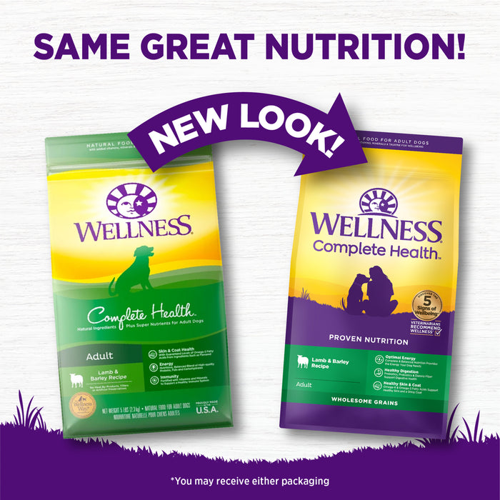 Wellness Complete Health Dry Dog Food, Wholesome Grains, Natural, Lamb & Barley Recipe, (26-Pound Bag)